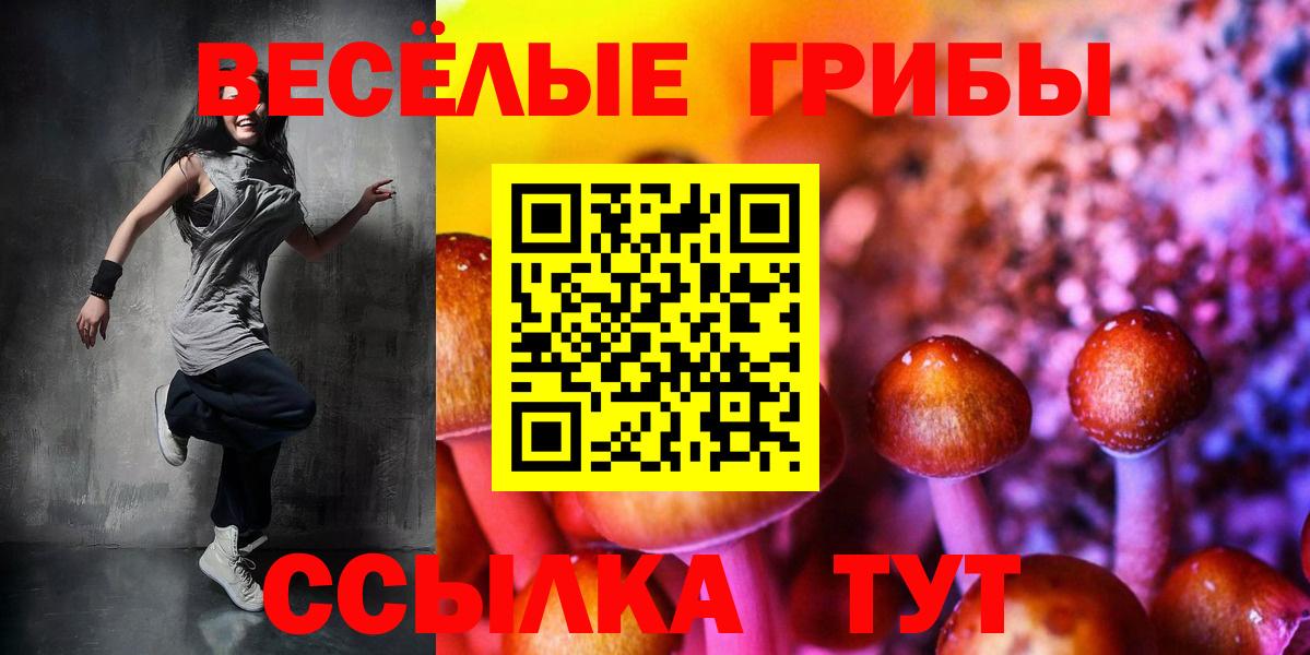 Галлюциногенные грибы Psilocybine cubensis  даркнет сайт  Бузулук  Вход с VPN  Псилоцибиновые грибы прущие грибы 